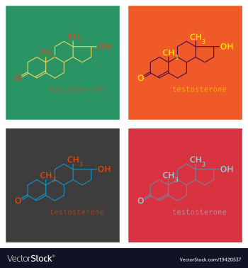 Set of testosterone male sex hormone androgen vector image Set of testosterone male sex hormone androgen vector image