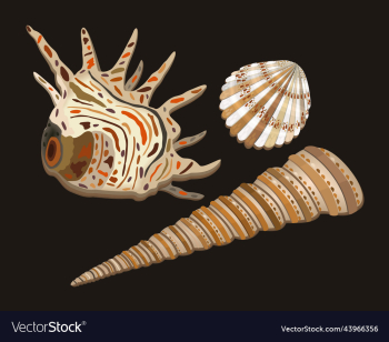 set of various seashells of usual shape with set of various seashells of usual shape with