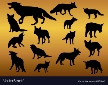 set of various wolf silhouette set of various wolf silhouette