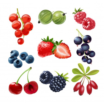 Set of vector icons juicy ripe berries Free Vector Set of vector icons juicy ripe berries Free Vector