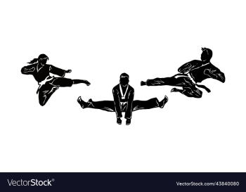 set silhouette taekwondo logo set silhouette taekwondo logo