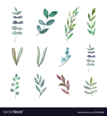 set watercolor foliage hand-drawn elements