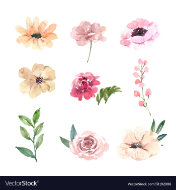 set watercolor pink peony hand-drawn floral