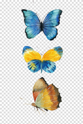 Several butterflies, Monarch butterfly Drawing, butterfly transparent background PNG clipart