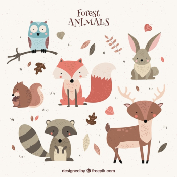 Several nice wild animals