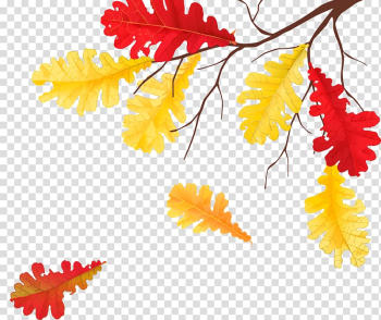 Several red and yellow leafed trees, Autumn Leaves Golden Autumn Leaf Child, Withered autumn leaves transparent background PNG clipart