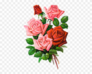 Shabby Chic Flowersvintage - Garden Roses Shabby Chic Flowersvintage - Garden Roses