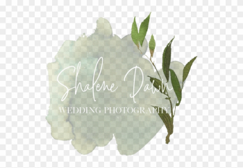 Shalene Dawn Photography Edmonton Alberta Elopement - Agave Shalene Dawn Photography Edmonton Alberta Elopement - Agave