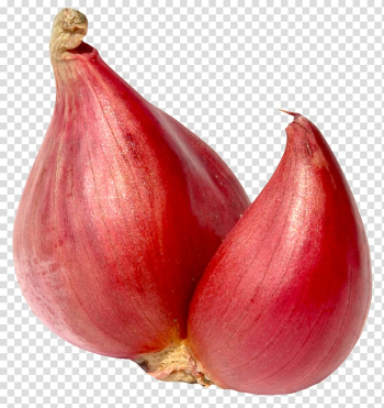 Shallot Red onion Beef bourguignon Vegetable, Shallot Onion transparent background PNG clipart