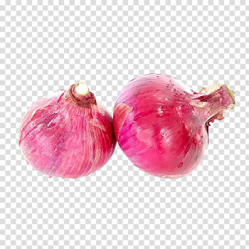 Shallot Red onion Scallion Vegetable, Two onions material transparent background PNG clipart