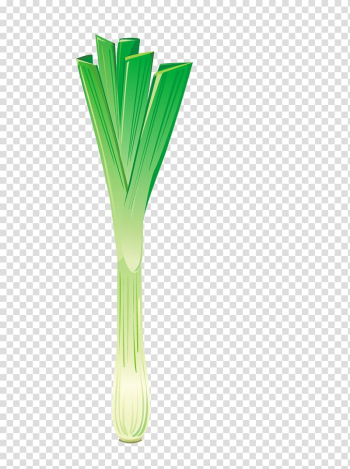 Shallot Scallion , Green vegetables transparent background PNG clipart Shallot Scallion , Green vegetables transparent background PNG clipart