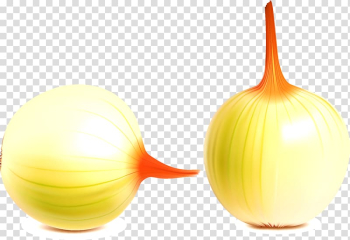 Shallot Vegetable Garlic Onion ring, onion transparent background PNG clipart Shallot Vegetable Garlic Onion ring, onion transparent background PNG clipart