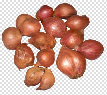 Shallot Vegetable Scallion French cuisine, Onion Shallots transparent background PNG clipart