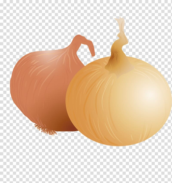 Shallot Yellow onion Onion ring Vegetable, onion onions material transparent background PNG clipart