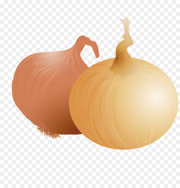 Shallot Yellow onion Onion ring Vegetable - PNG onion onions vector material 