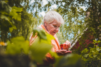 Shallow Focus Photo of Woman Near Plants Shallow Focus Photo of Woman Near Plants