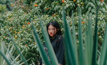 Shallow Focus Photography of Asian Woman Shallow Focus Photography of Asian Woman
