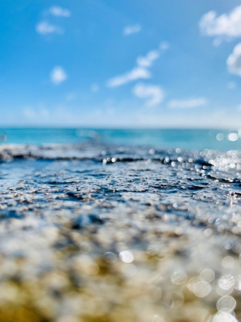 Shallow Focus Photography Of Body Of Water Shallow Focus Photography Of Body Of Water