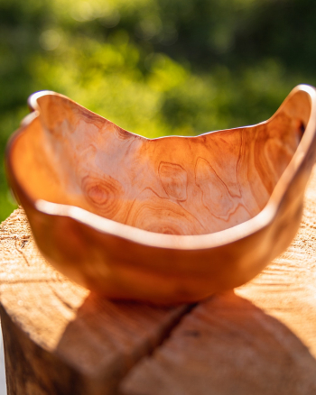 Shallow Focus Photography of Brown Wooden Bowl on a Round Wooden Surface Shallow Focus Photography of Brown Wooden Bowl on a Round Wooden Surface