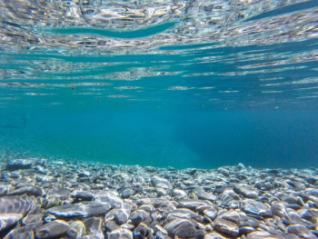 shallow focus photography of rocks under water shallow focus photography of rocks under water