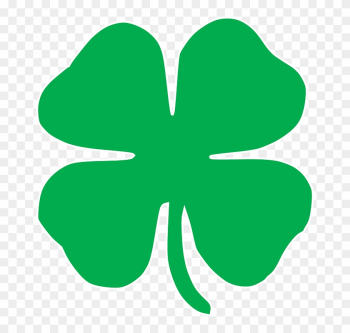 Shamrock - 4 Leaf Clover Shamrock - 4 Leaf Clover