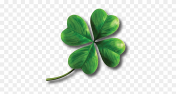 Shamrock Four - Four Leaf Clover Transparent Background