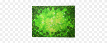 Shamrock Four Leaf Clover Background Canvas Print • - 4 Leaf Clover Backgrounds