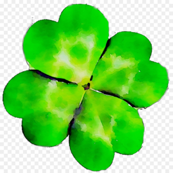 Shamrock Leaf - Shamrock Leaf -