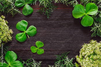 Shamrocks with Mixed Foliage on Dark Table