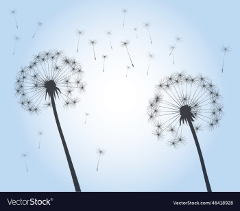 shape of dandelion outline