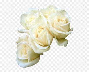 Share This Image - White Roses Psd