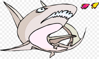 Shark Shark