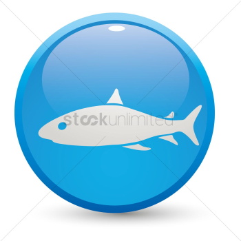 Shark Shark