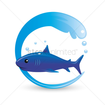 Shark Shark