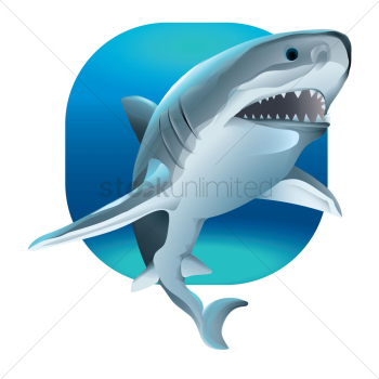 Shark