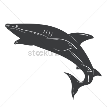 Shark Shark