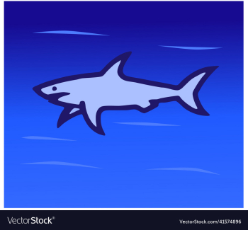 shark shark