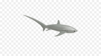 Shark Cartilaginous fishes Safari Ltd Common thresher Animal - shark 