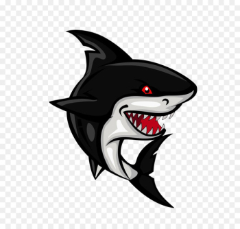 Shark Cartoon Clip art - Cartoon shark Shark Cartoon Clip art - Cartoon shark