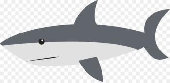 Shark Cartoon Drawing Clip art - sharks 