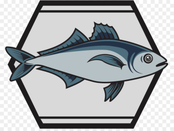 Shark, Cartoon, Tuna, Fish, Fin PNG