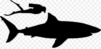 Shark Clip art Fauna Silhouette Marine mammal -  