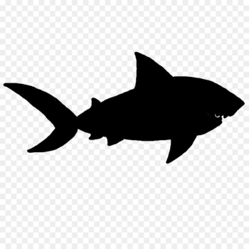 Shark Clip art Fauna Silhouette Marine mammal -  