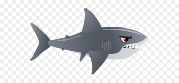 Shark Clip art - Shark Png Clipart Shark Clip art - Shark Png Clipart