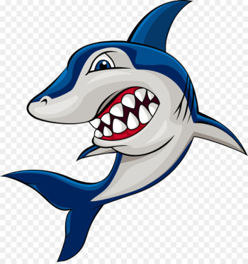 Shark Drawing Illustration - shark Shark Drawing Illustration - shark