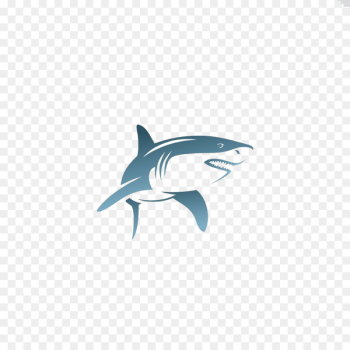 Shark Euclidean vector Illustration - shark 