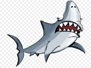 Shark facts Great white shark Tiger shark Whale shark - sharks 