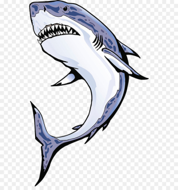 Shark fin soup Requiem shark Clip art - Hunter shark 