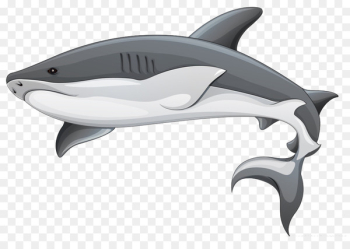 Shark fin soup Shark finning Clip art - shark 