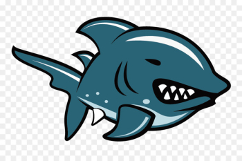 Shark Illustration - Vector Shark Shark Illustration - Vector Shark